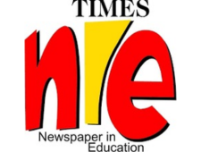 times nie newspaper logo